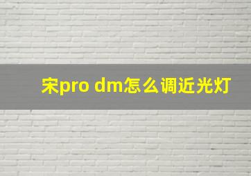 宋pro dm怎么调近光灯